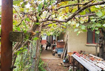 Casa de vanzare Iardastita (Caras-Severin) Casa de vanzare Iardastita (Caras-Severin) - 4