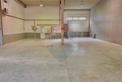 Spațiu comercial, de 450 mp, în Micălaca - 6