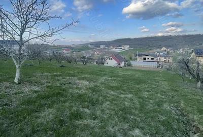 Teren de 1000 mp, în Șorogari - 6