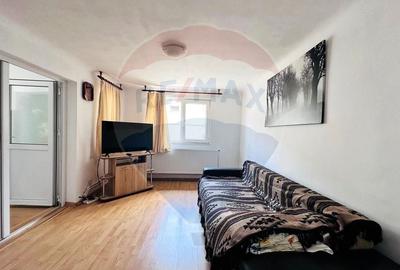 Casa Individuala cu Teren Generos si Gradina Superba in Darasti-Ilfov - 14