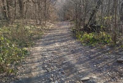 Casă cu 2 camere cu Teren 7500 Mp în Valea Roșie - 7