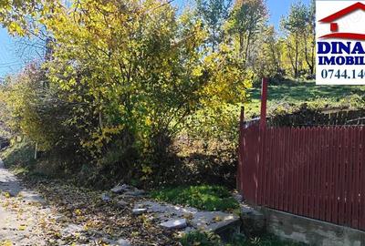 3600 mp teren intravilan, sat Bistrita, 19 Euro mp - 6