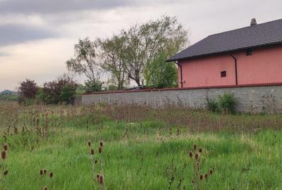 Teren intravilan in zona Satu Nou, 2000mp, deschidere 27m - 1