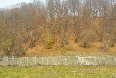 Cabana cocheta si teren la munte - 5