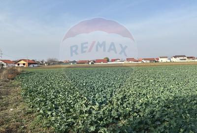 Teren intravilan de vanzare, 11.600 mp - Tarian, Girisul de Cris - 6