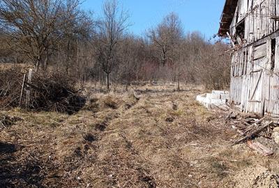 Casă cu 3 camere în Tiulești - 1