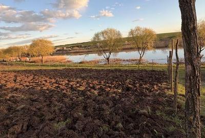 Teren de 2200 mp, în Iepurești - 7