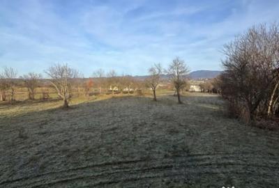 Casă cu 3 camere cu Teren 2500 Mp în Șindrești - 4