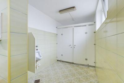 Spațiu comercial, de 1,126 mp, în Vladimirescu - 14