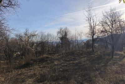 Teren intravilan Breaza 4,000mp cu  utilitati. Panorama superba. Intimitate. - 14