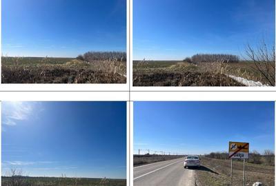 Spațiu comercial, în Central - 5