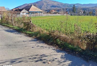 Teren de 1700 mp, în Pângărați - 4