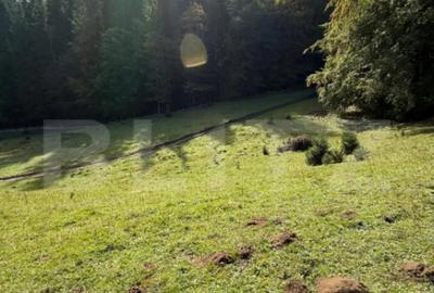 Teren de 2792 mp, în Colibița - 3