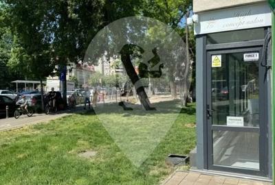 Spatiu comercial - Salon Infumusetare - 5