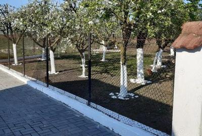 Casă cu 2 camere cu Teren 892 Mp în Băcia - 14