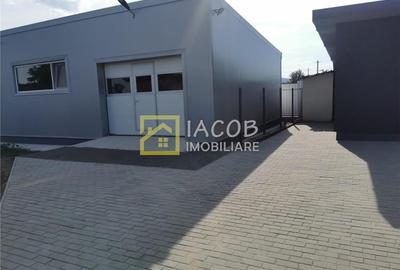 Hala cu suprafata de 146 mp in Hemeius, jud. Bacau - 10