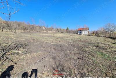 Casă cu Teren 4391 Mp în Cornu - 5