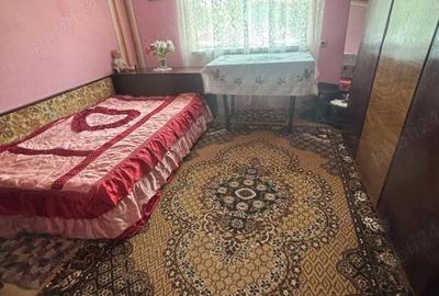 Casă cu 4 camere cu Teren 2500 Mp în Rotunda - 2