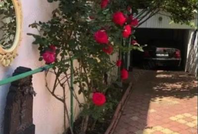 Casă cu 3 camere cu Canalizare în Muncii - 3