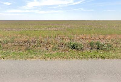 Teren agricol extravilan de 280000 mp, în Stoicănești