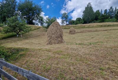 Casă cu 4 camere în Central - 7