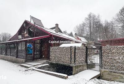 Casă cu 8 camere cu Teren 1500 Mp în Văliug - 9