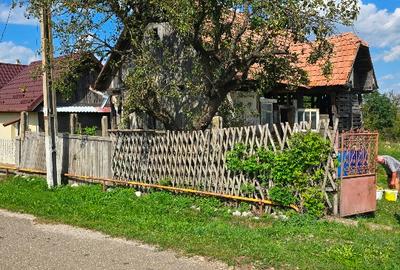 Gradina de vanzare - 2