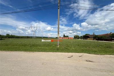 Teren de 5341 mp, în Marghita - 3