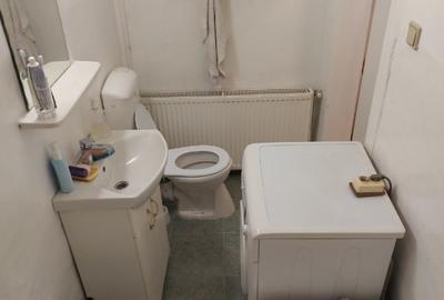 Apartament in curte, Timisoara - 14