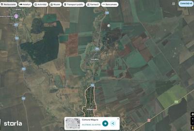 Teren de 14320 mp, în Măgura - 5