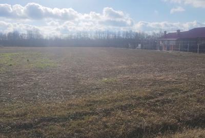 Spațiu comercial, în Poiana Lacului - 7