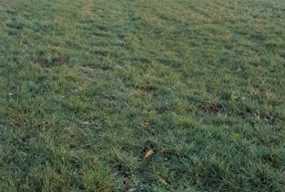 Vând teren intravilan la intrarea în Poplaca, pe drumul Sibiului. - 1