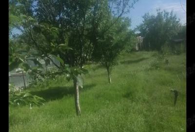 Proprietar vand casa cu teren 2500m2 in Domne?ti Ilfov - 6