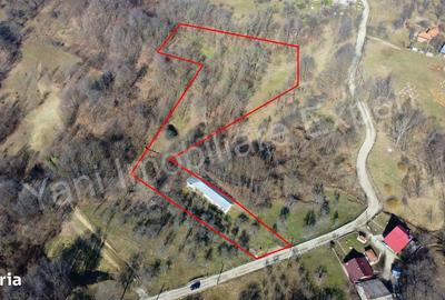 Casă cu 3 camere în Cerbu - 7