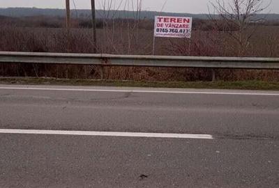 Teren extravilan 3,56 hectare in Dorolt ( ID 22873) - 2