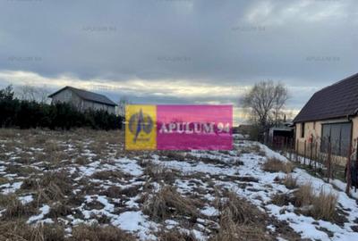 Teren Buda- Ilfov. - 5