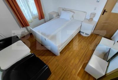 Hotel/Pensiune, în Brazda lui Novac - 13