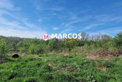 Teren de 2360 mp, în Calea Caransebeșului - 7