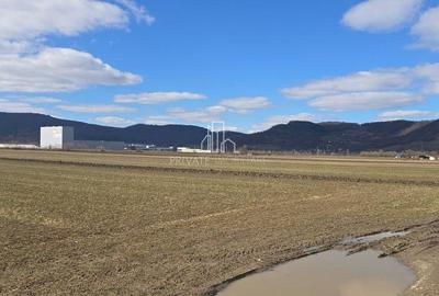 Spațiu comercial, în Albești - 2