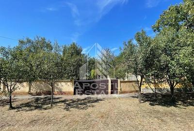 Casa cu teren 3407 mp, la asfalt, Seceani, 26 km de Timis... - 1