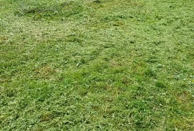 Casă cu 2 camere cu Teren 1600 Mp în Central - 1