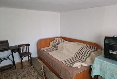 Casă cu 5 camere cu Teren 10426 Mp în Est - 29