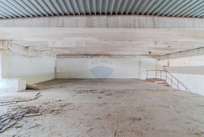 Spatiu industrial de 2060mp cu teren de 3358mp de vanzare Str Turnului Spatiu industrial de 2060mp cu teren de 3358mp de vanzare Str Turnului - 20