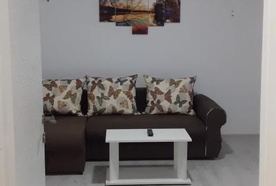 Apartament 2 camere de vanzare Curtea de Arges- Posada - 10