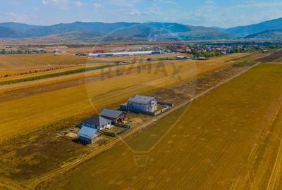 Vila cu 14 camere la gri in Carpinis RMX147994 | COMISION 0%! - 3