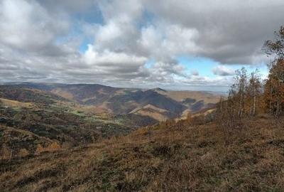 Spațiu comercial, în Muntele Rece - 7