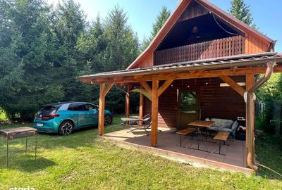 Casă cu 3 camere în Câmpu Cetății - 13