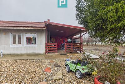 Casă cu 4 camere cu Teren 2812 Mp în Olari - 12