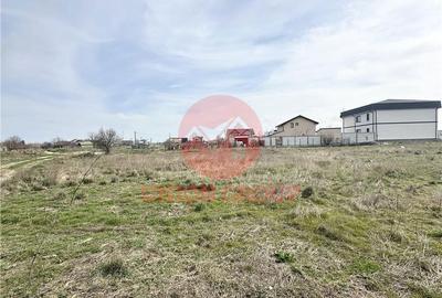 Spațiu comercial, în Viile Noi