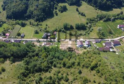 Teren intravilan cu autorizatie de constructie | Podis | de vanzare - 4